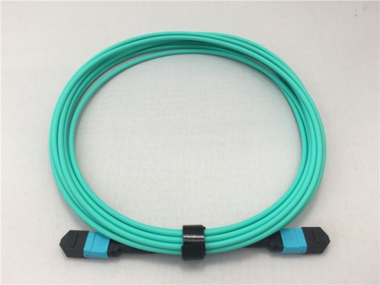 Многомодовый магистральный кабель MPO Female OM3 1 м для многомодового магистрального кабеля MPO Female
